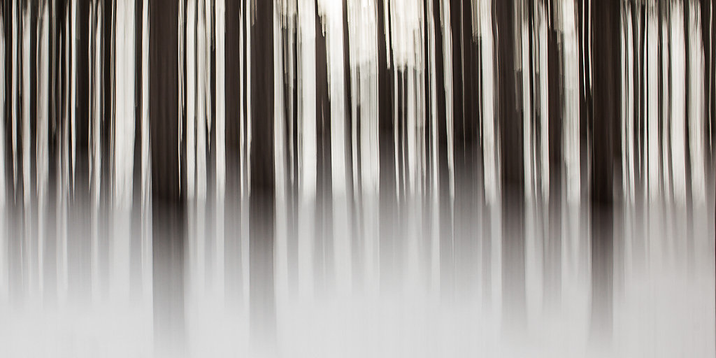 Stammcode-Nebel-I, 2016