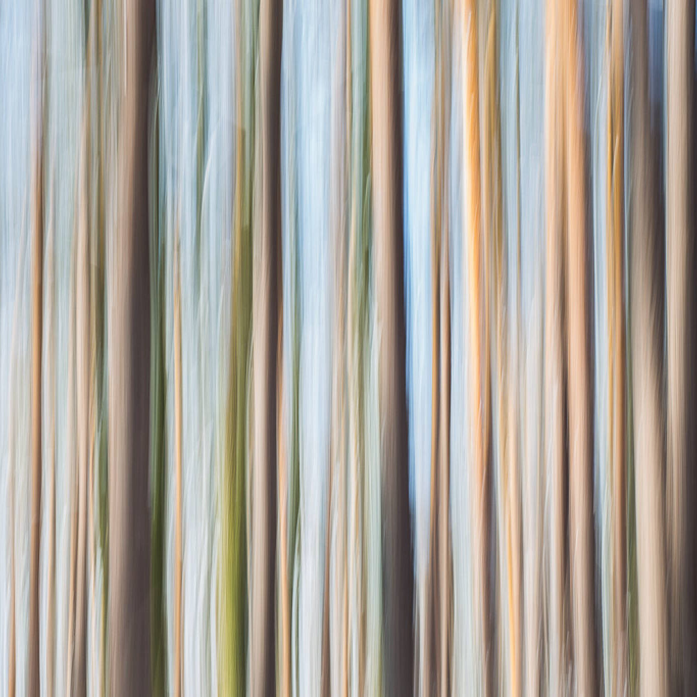STAMM.CODE