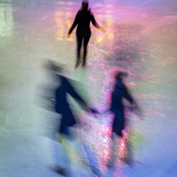 Begegnung der Spurenelemente, 2016